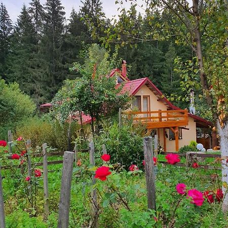 Forest Vibes Spa Cîmpu lui Neag Екстериор снимка