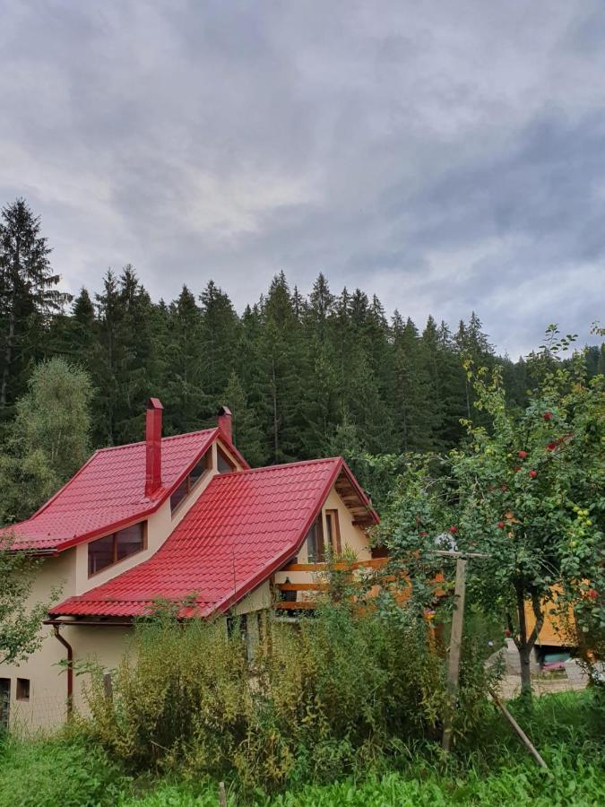Forest Vibes Spa Cîmpu lui Neag Екстериор снимка