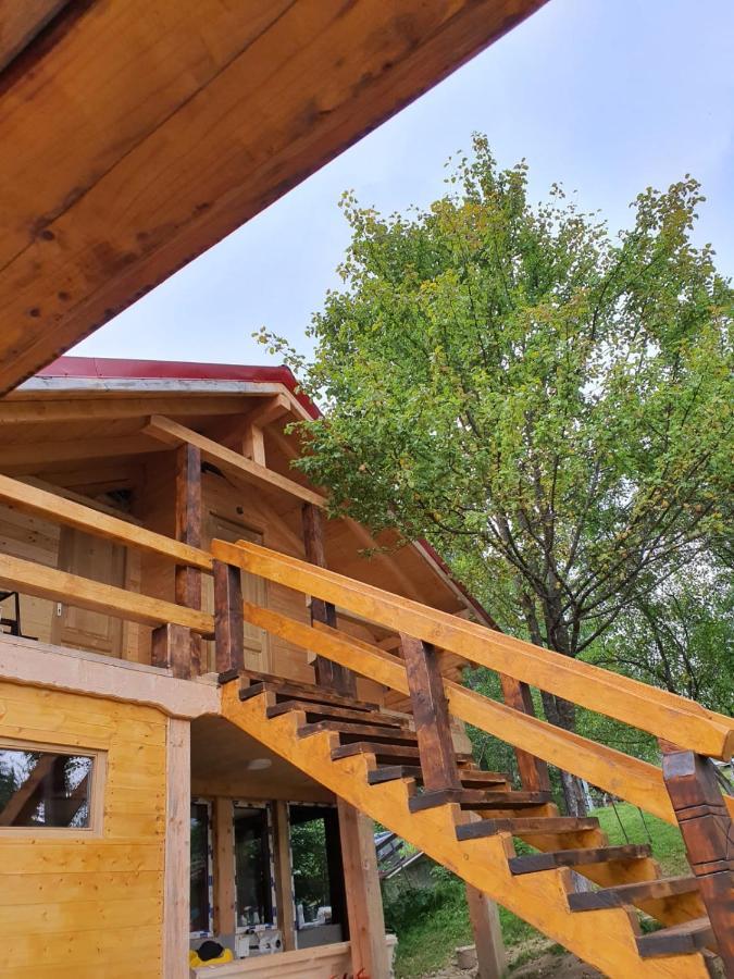 Forest Vibes Spa Cîmpu lui Neag Екстериор снимка
