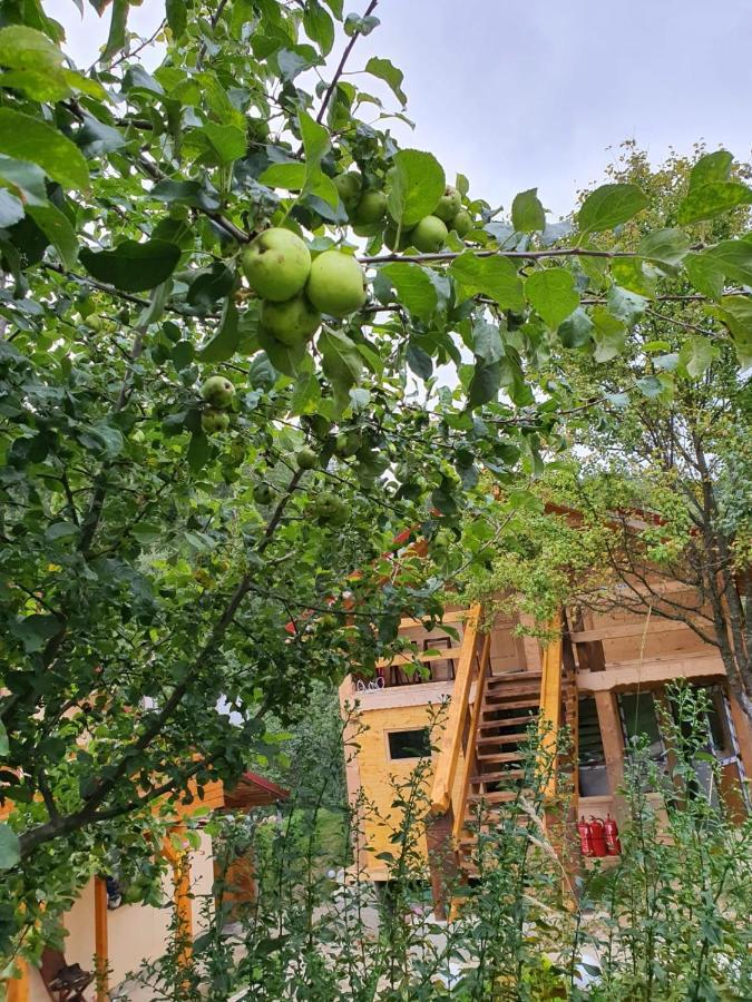 Forest Vibes Spa Cîmpu lui Neag Екстериор снимка