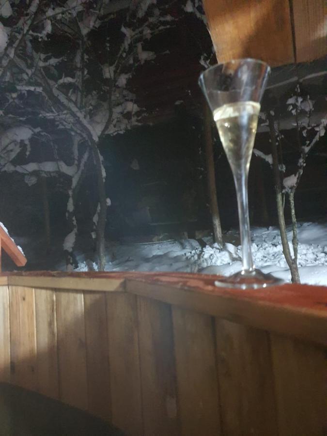 Forest Vibes Spa Cîmpu lui Neag Екстериор снимка