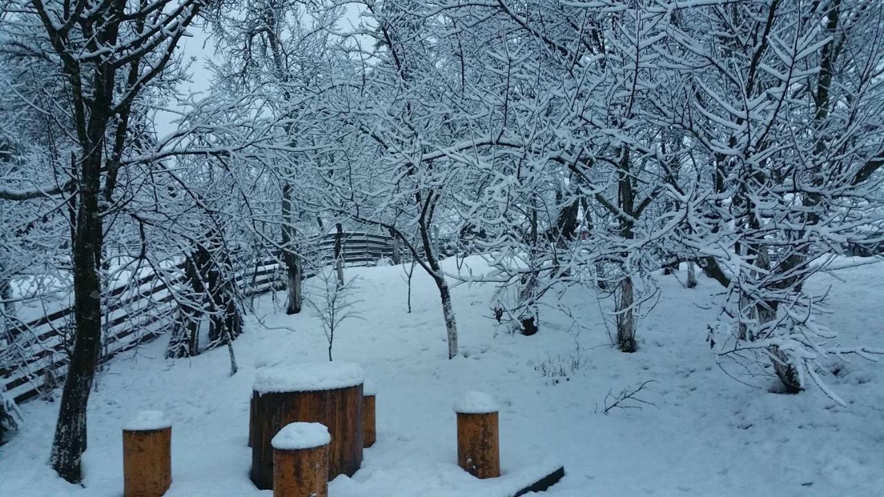Forest Vibes Spa Cîmpu lui Neag Екстериор снимка