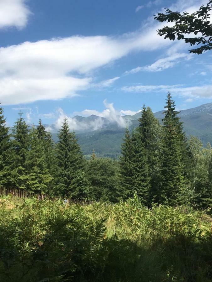 Forest Vibes Spa Cîmpu lui Neag Екстериор снимка