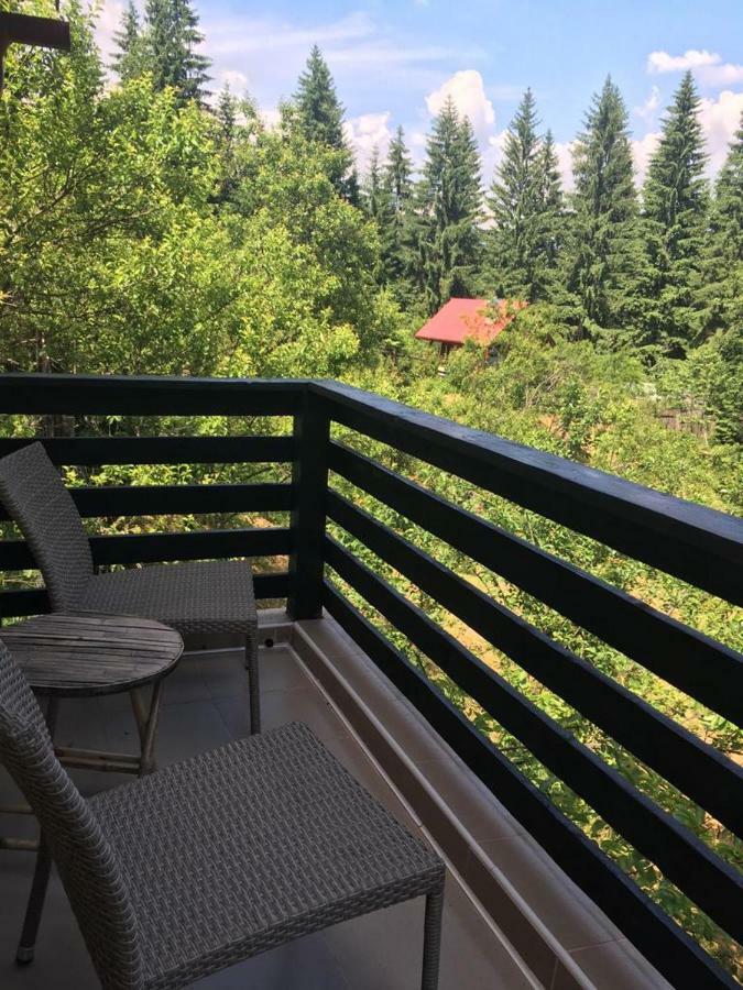 Forest Vibes Spa Cîmpu lui Neag Екстериор снимка