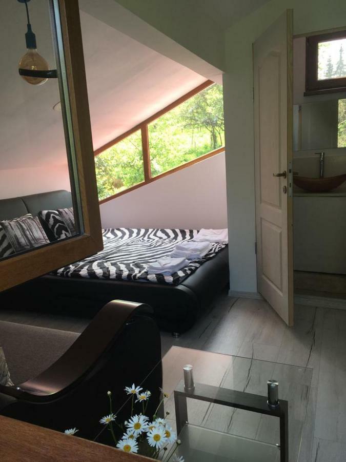Forest Vibes Spa Cîmpu lui Neag Екстериор снимка