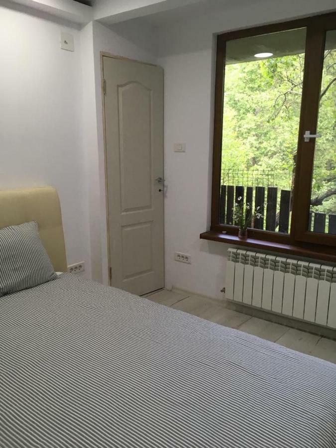 Forest Vibes Spa Cîmpu lui Neag Екстериор снимка