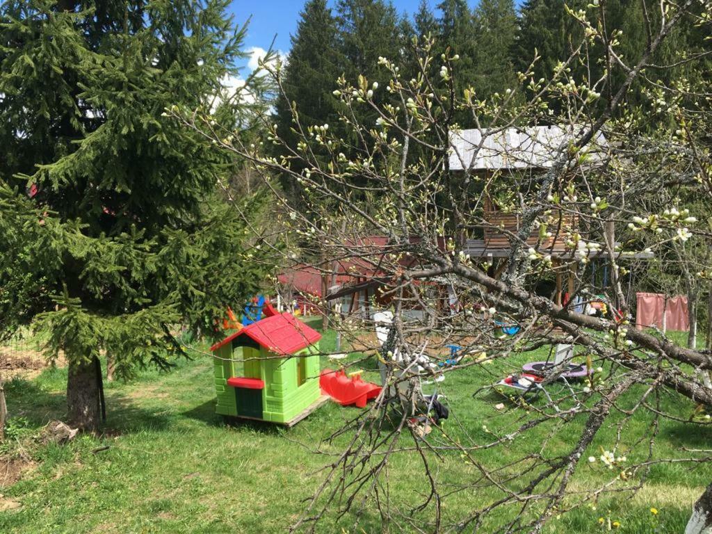 Forest Vibes Spa Cîmpu lui Neag Екстериор снимка